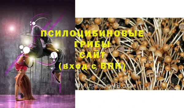 ALPHA PVP Арсеньев