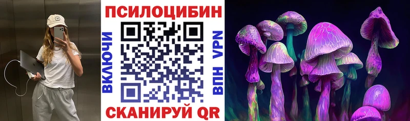 что такое   Балашиха  Галлюциногенные грибы GOLDEN TEACHER 